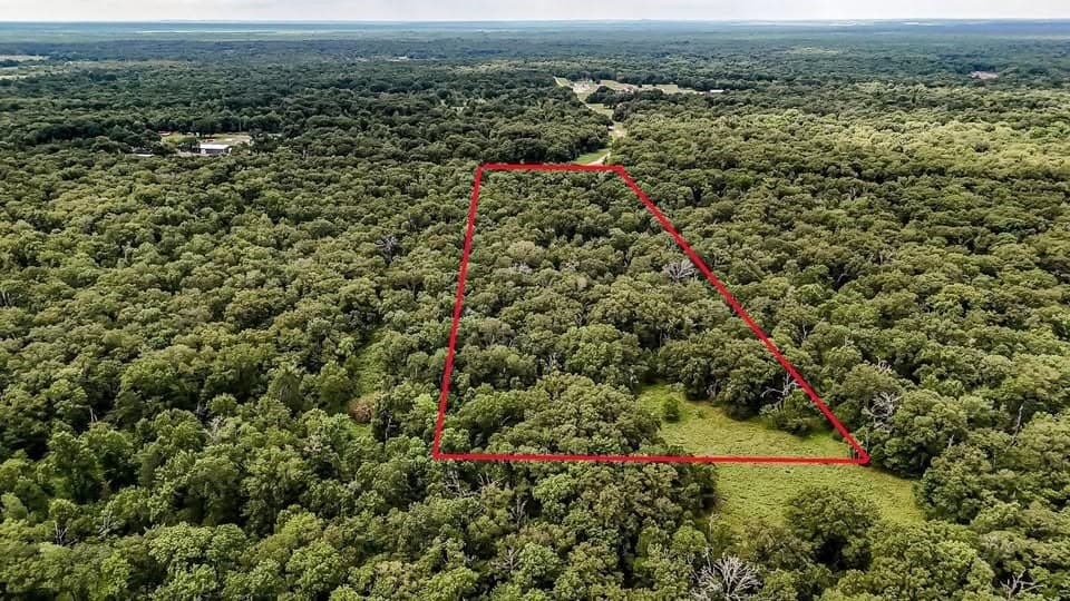 10 acres in Anderson County gallery image 3