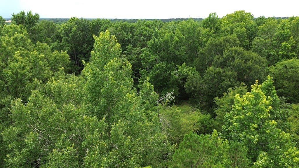 9.6 acres in Texas County - photo 13