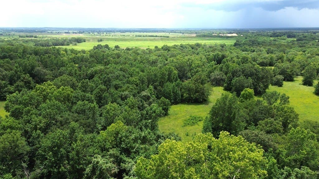 9.6 acres in Texas County - photo 6