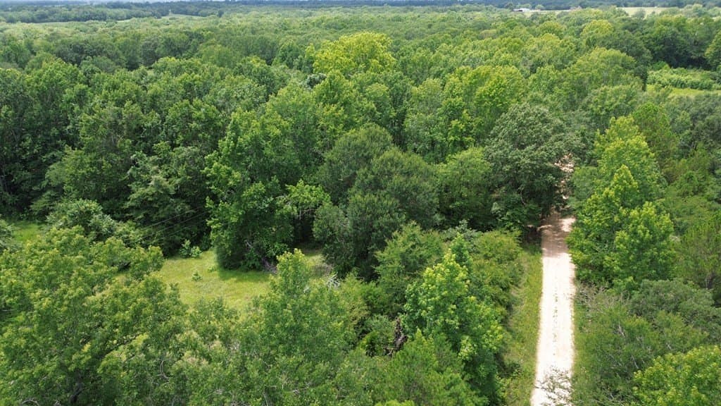 9.6 acres in Texas County - photo 15
