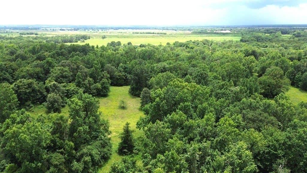 9.6 acres in Texas County - photo 4