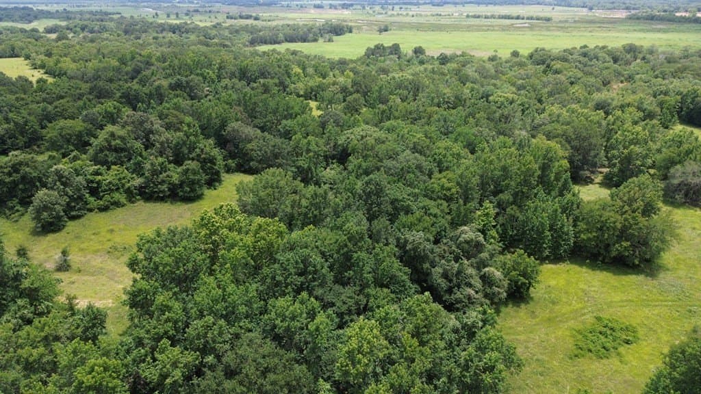 9.6 acres in Texas County - photo 7