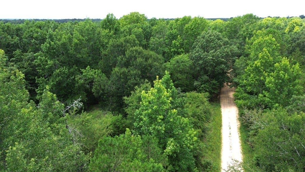 9.6 acres in Texas County - photo 16