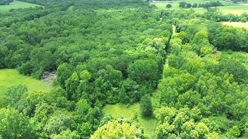 9.6 acres in Texas County - photo 12