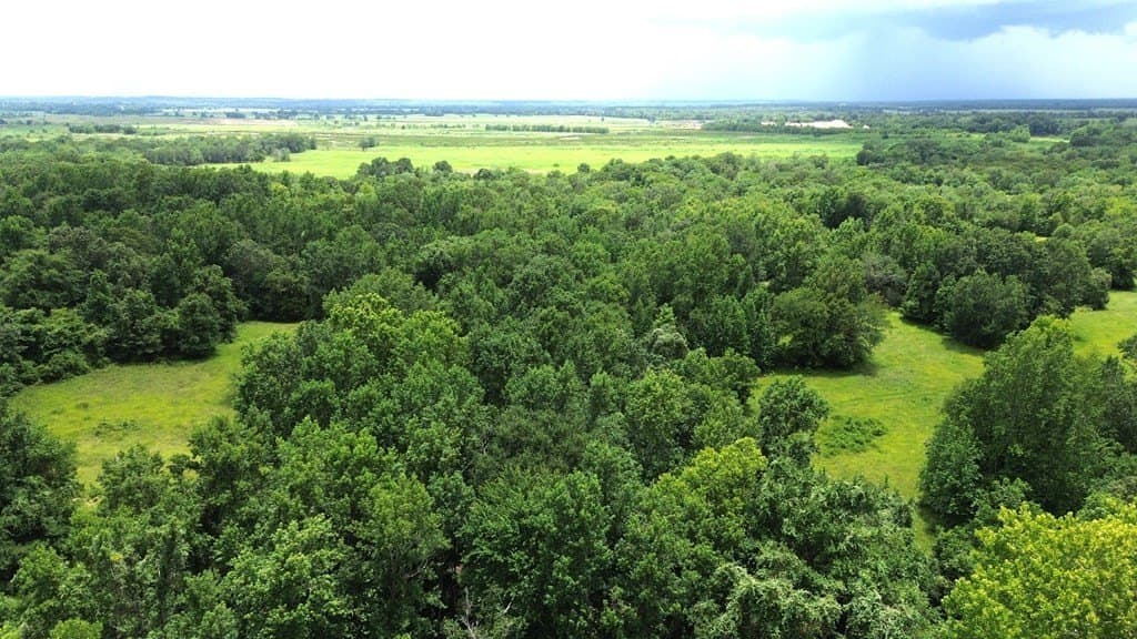 9.6 acres in Texas County - photo 5