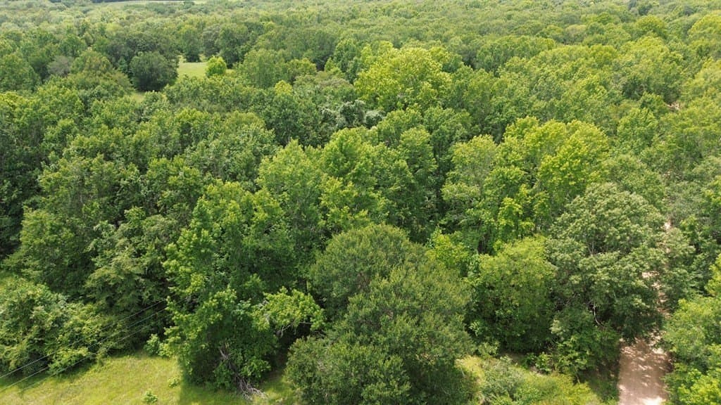 9.6 acres in Texas County - photo 3