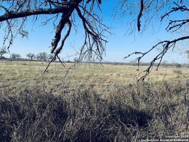 22 acres in Atascosa County - photo 22