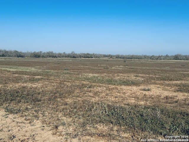 22 acres in Atascosa County - photo 13