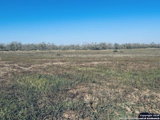 22 acres in Atascosa County - photo 9