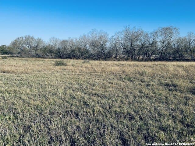 22 acres in Atascosa County - photo 3