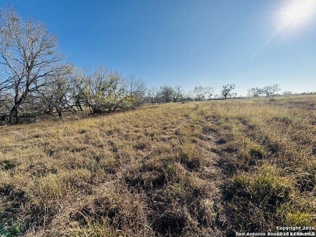 22 acres in Atascosa County - photo 18