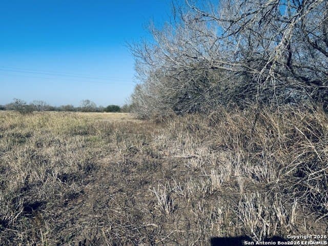 22 acres in Atascosa County - photo 19