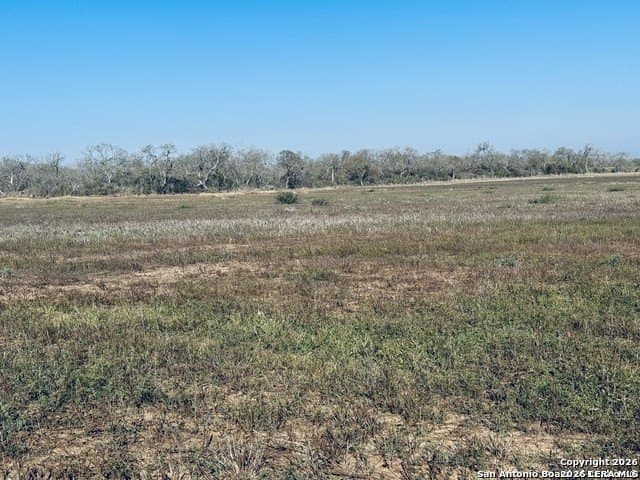 22 acres in Atascosa County - photo 10