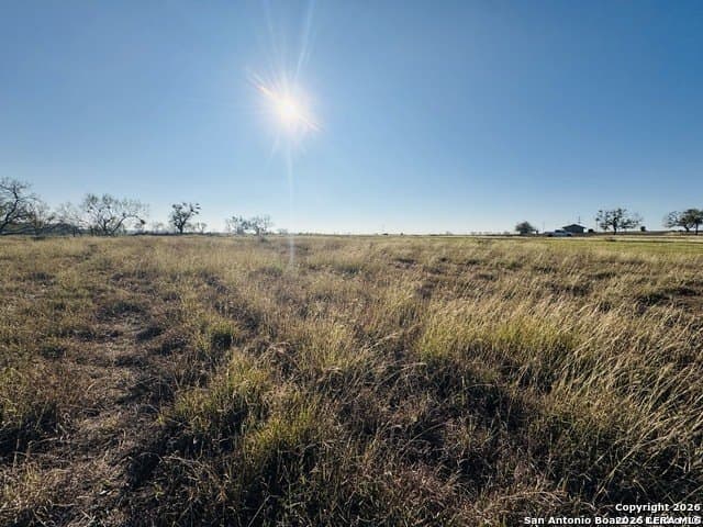 22 acres in Atascosa County - photo 17
