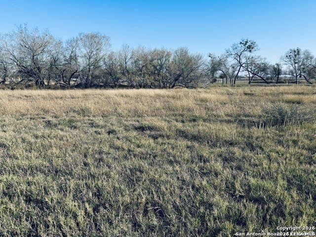 22 acres in Atascosa County - photo 25