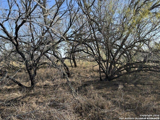 22 acres in Atascosa County - photo 24