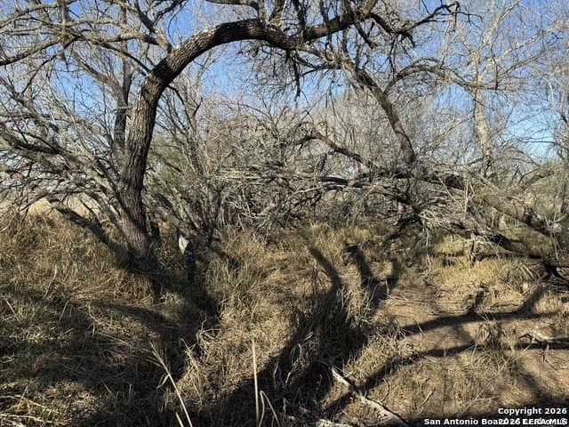 22 acres in Atascosa County - photo 23