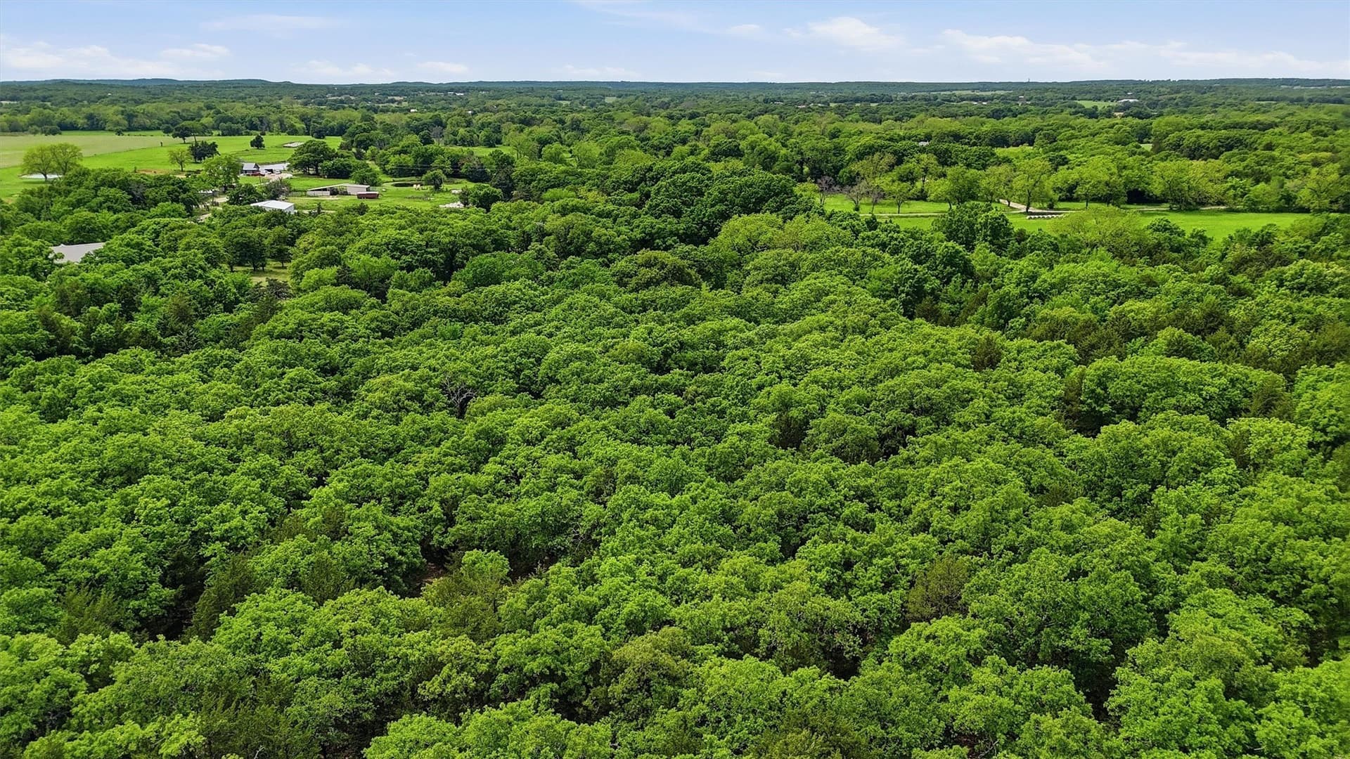 11.99 acres in Cooke County - photo 38