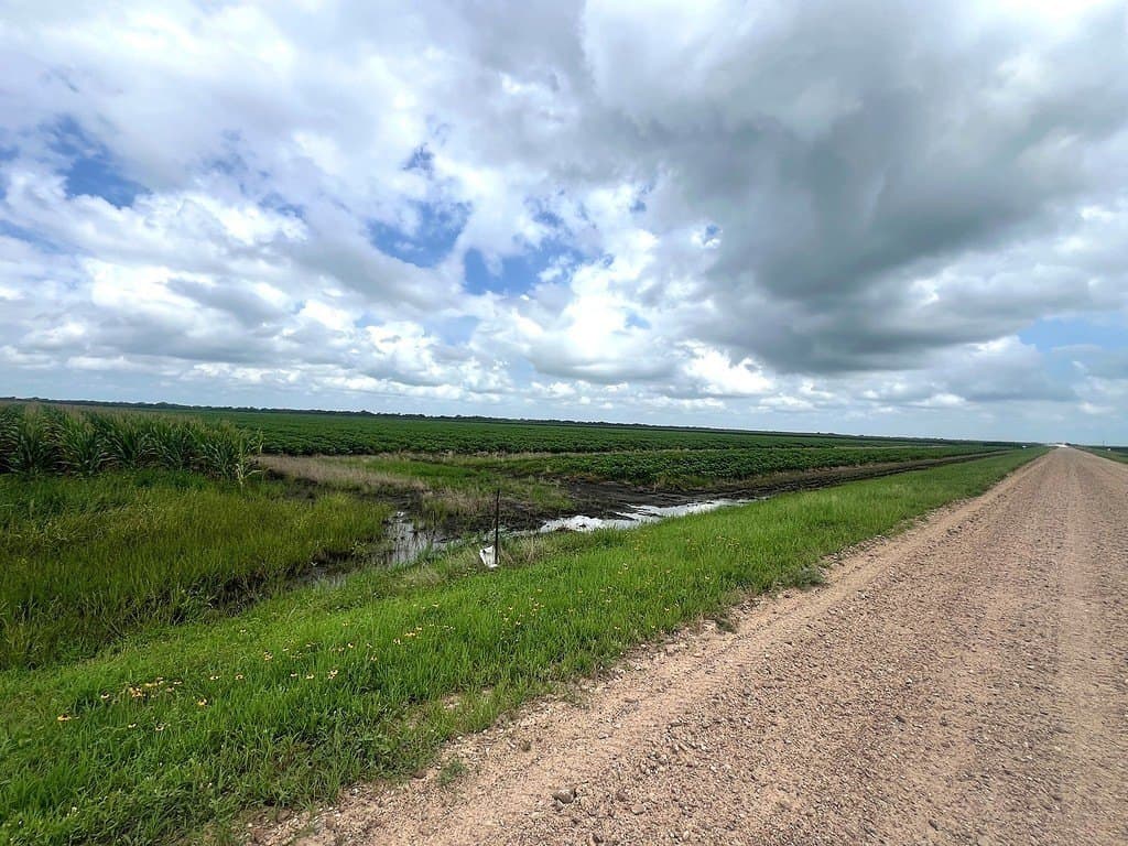 248.71 acres in Wharton County
