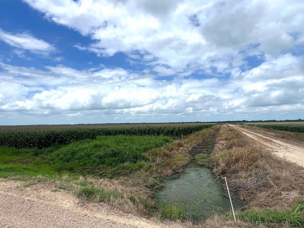 248.71 acres in Wharton County - photo 2