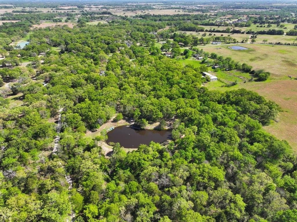 18.35 acres in Van Zandt County gallery image 4