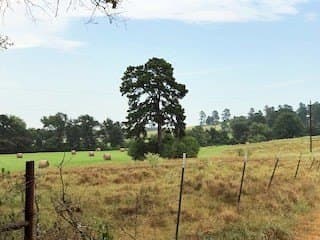 36.6 acres in ANDERSON County gallery image 3
