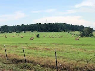 36.6 acres in ANDERSON County gallery image 2