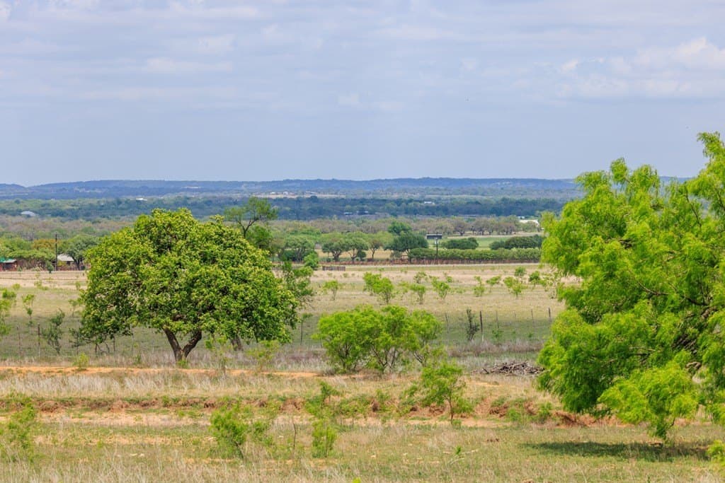 78 acres in Gillespie County - photo 13