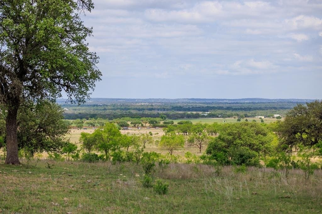 78 acres in Gillespie County - photo 6
