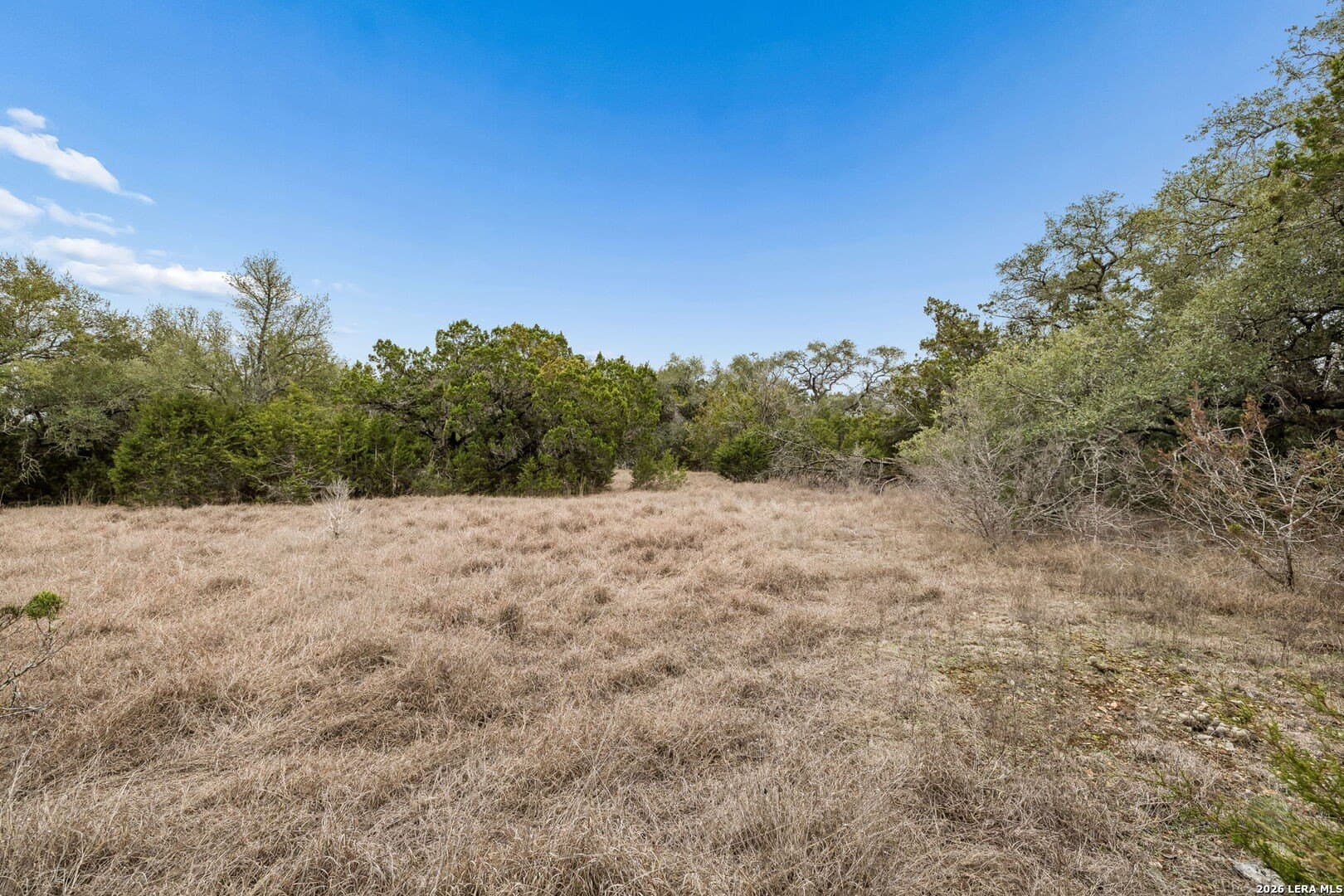 13.07 acres in Comal County - photo 27