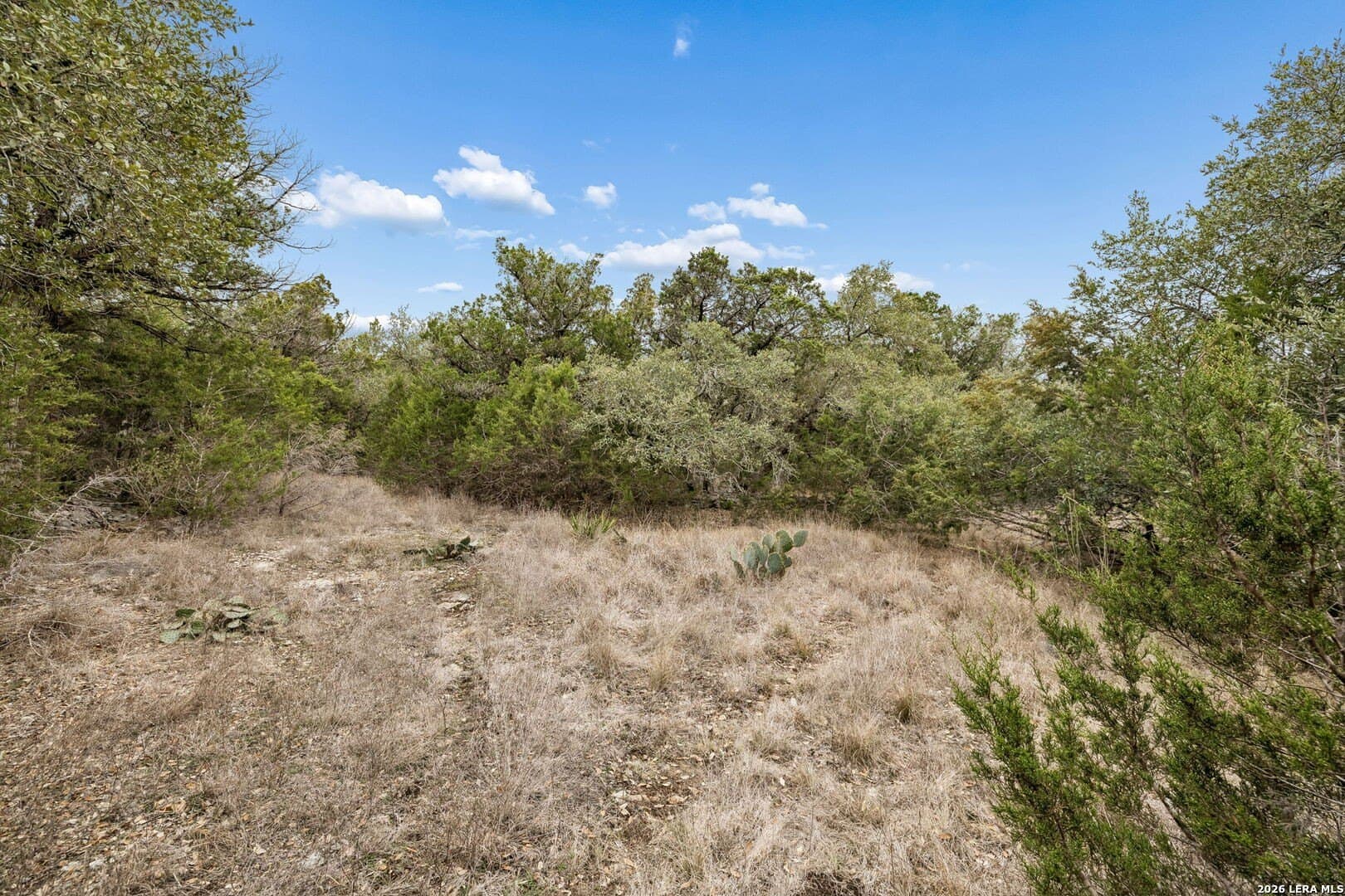 13.07 acres in Comal County - photo 10