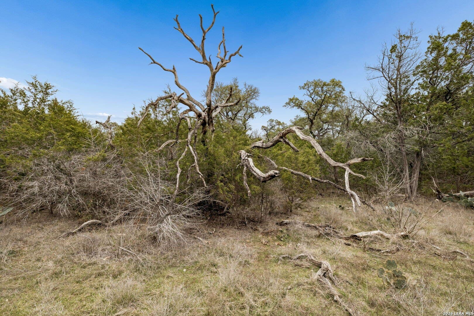 13.07 acres in Comal County - photo 18