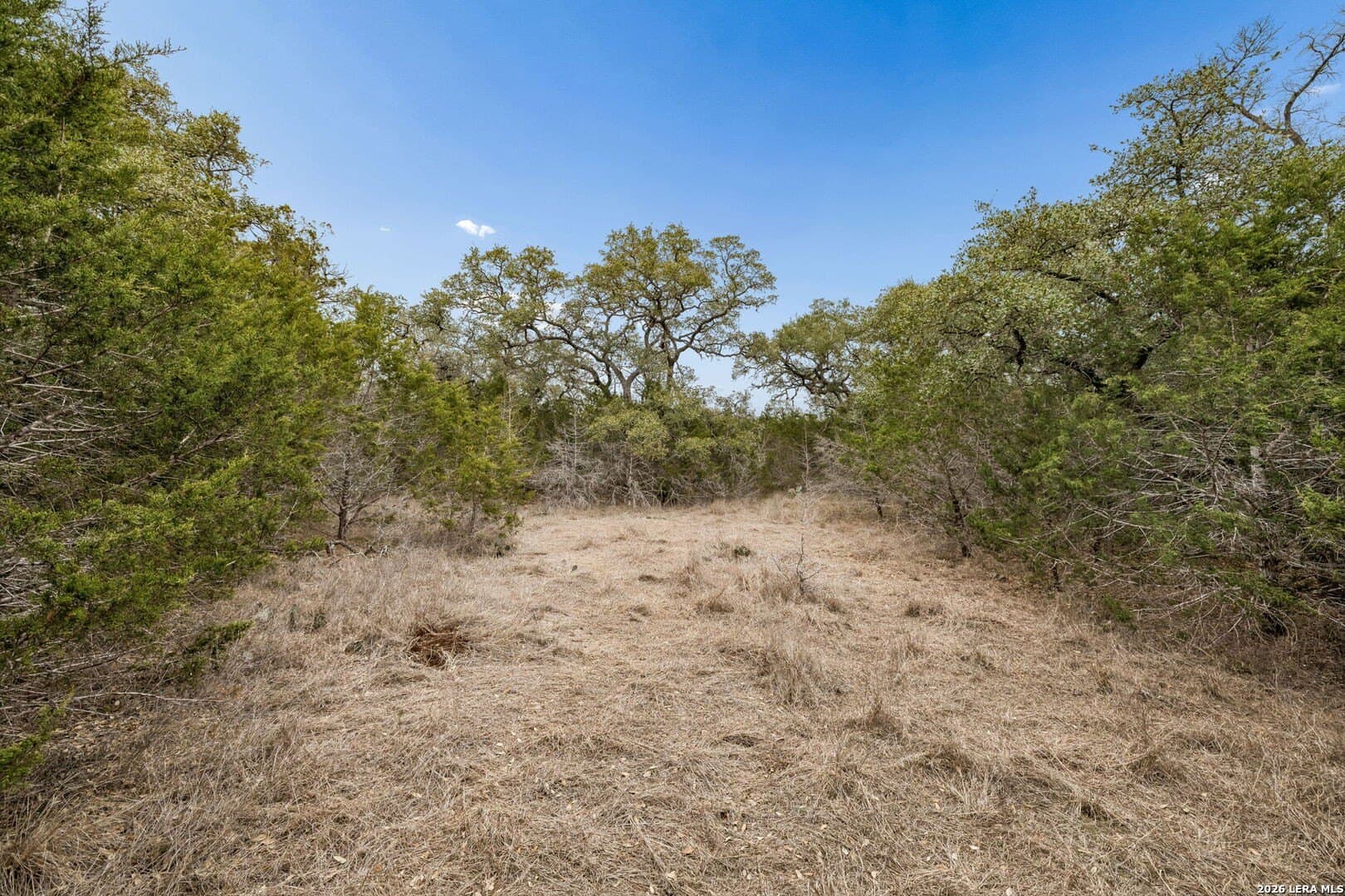 13.07 acres in Comal County - photo 16