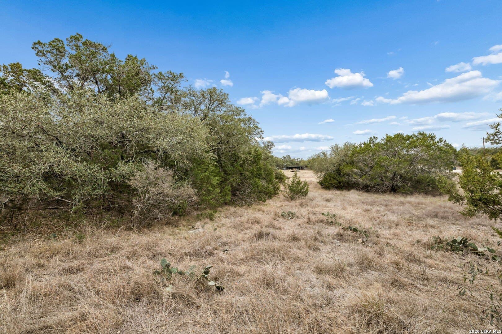 13.07 acres in Comal County - photo 12