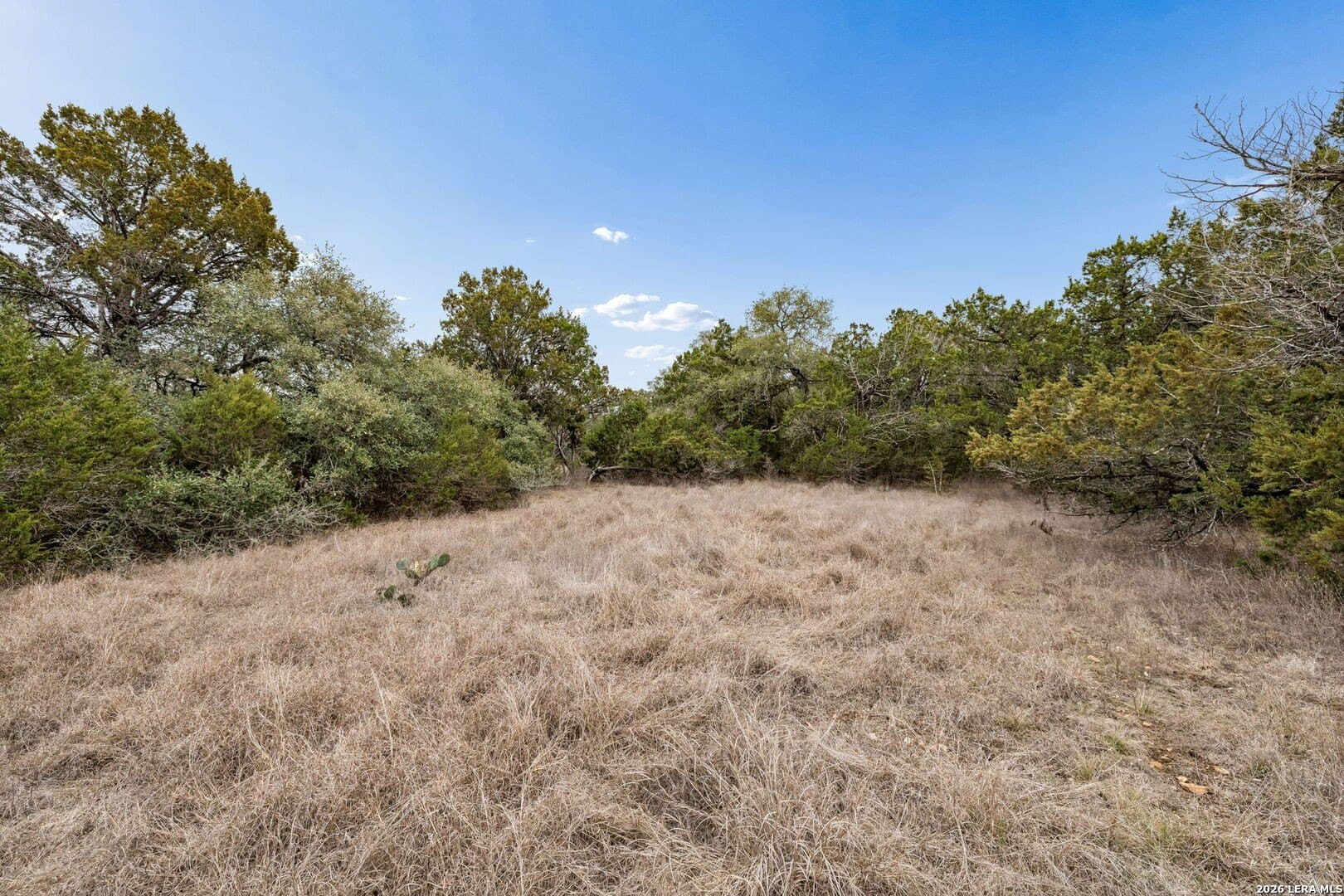 13.07 acres in Comal County - photo 25