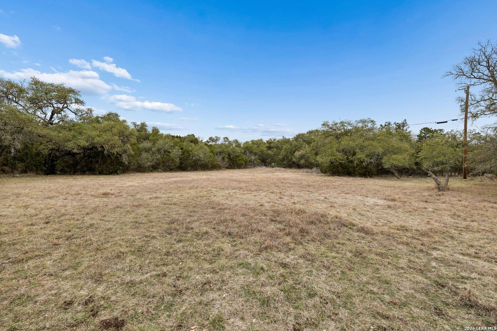 13.07 acres in Comal County - photo 7