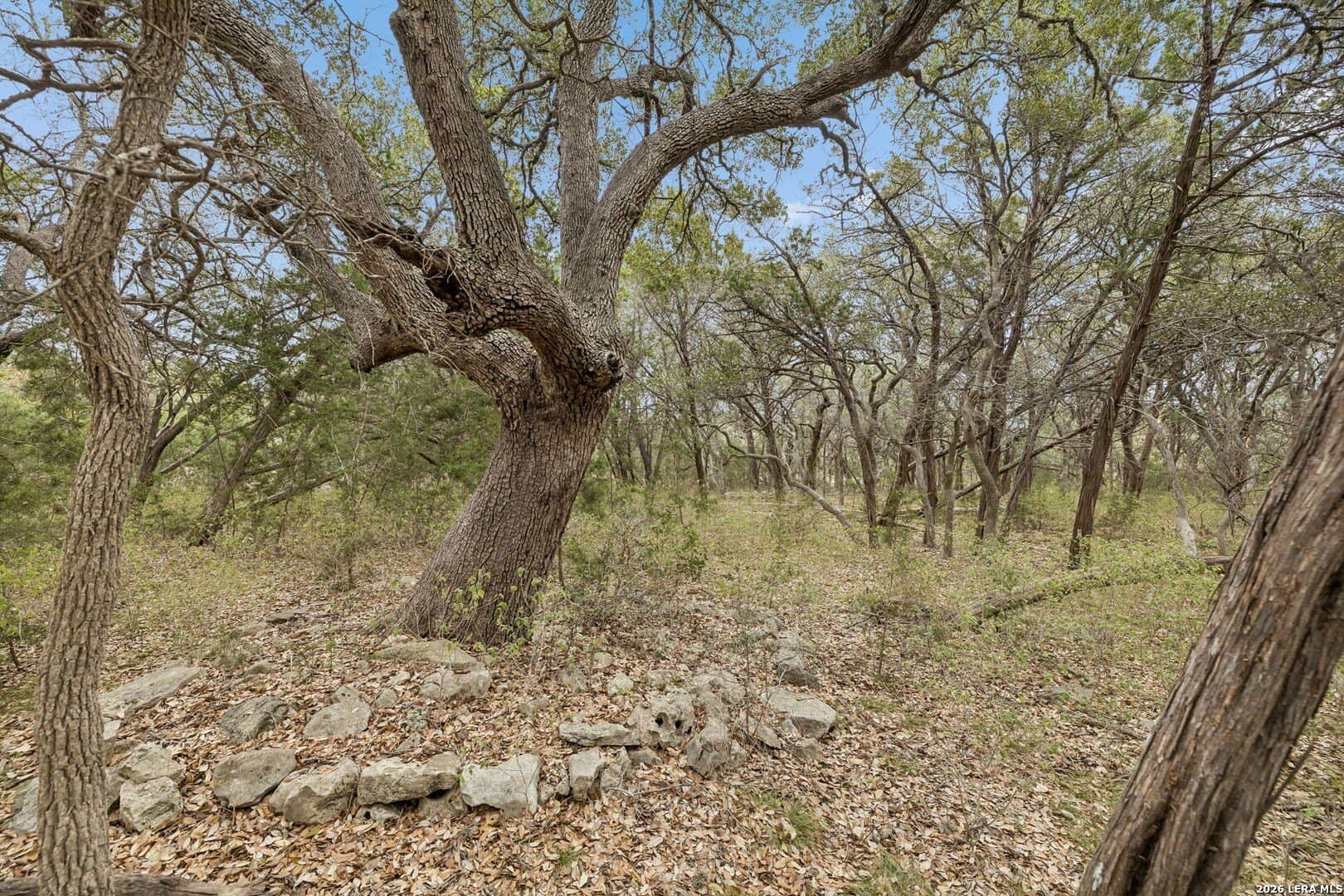 13.07 acres in Comal County - photo 30