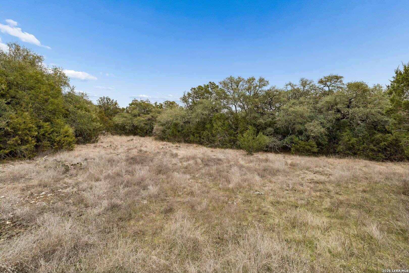 13.07 acres in Comal County - photo 13