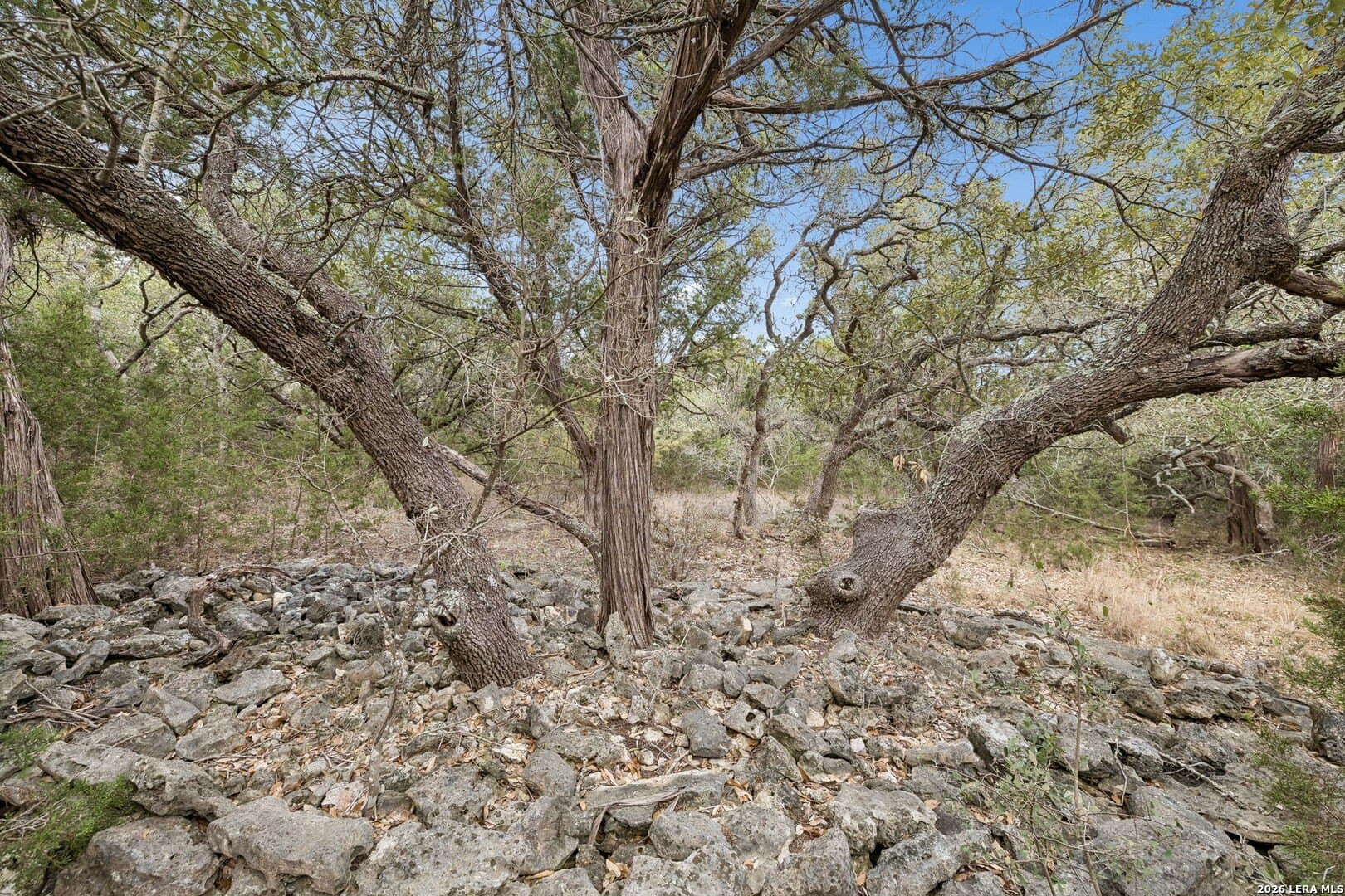 13.07 acres in Comal County - photo 11