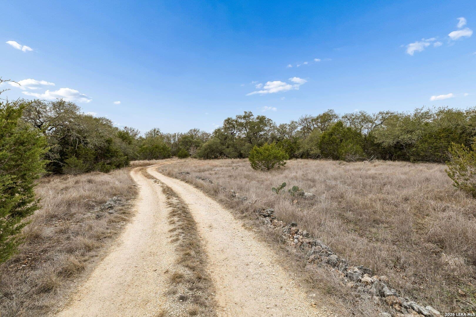 13.07 acres in Comal County - photo 23