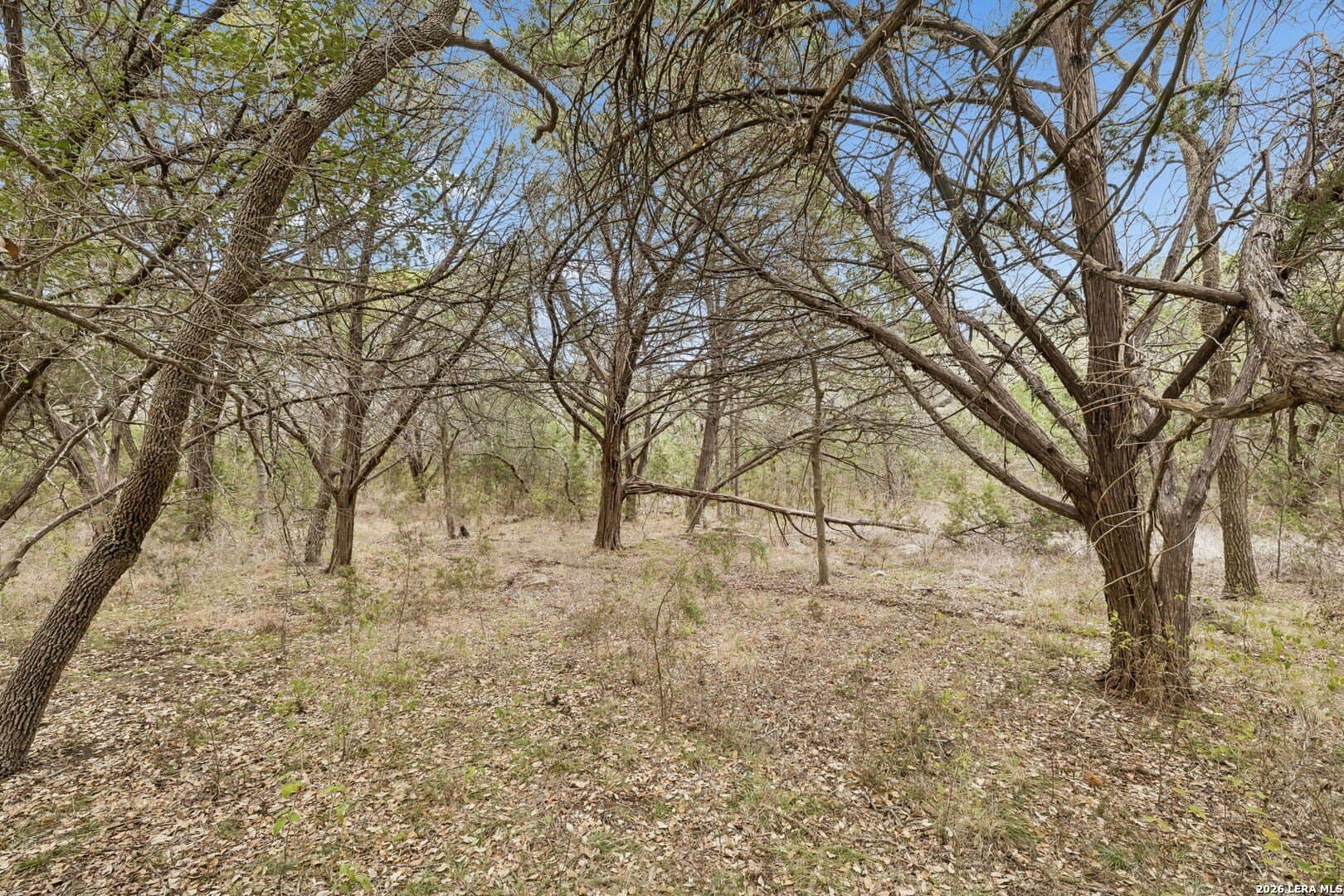13.07 acres in Comal County - photo 20