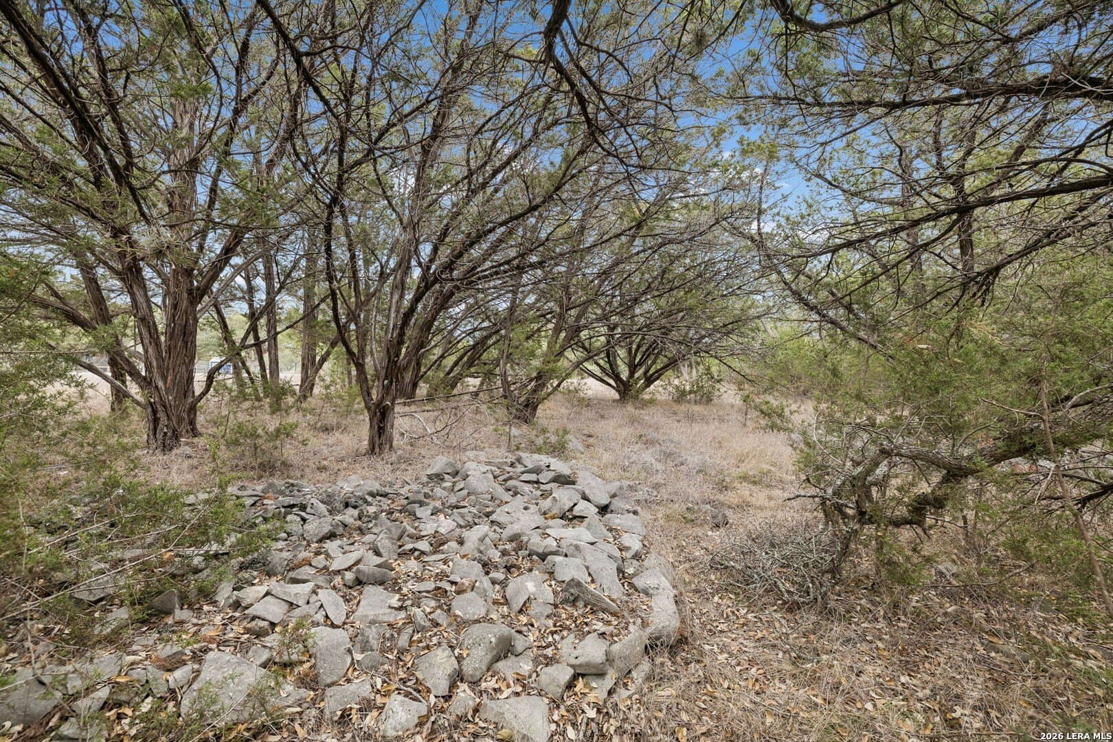 13.07 acres in Comal County - photo 31