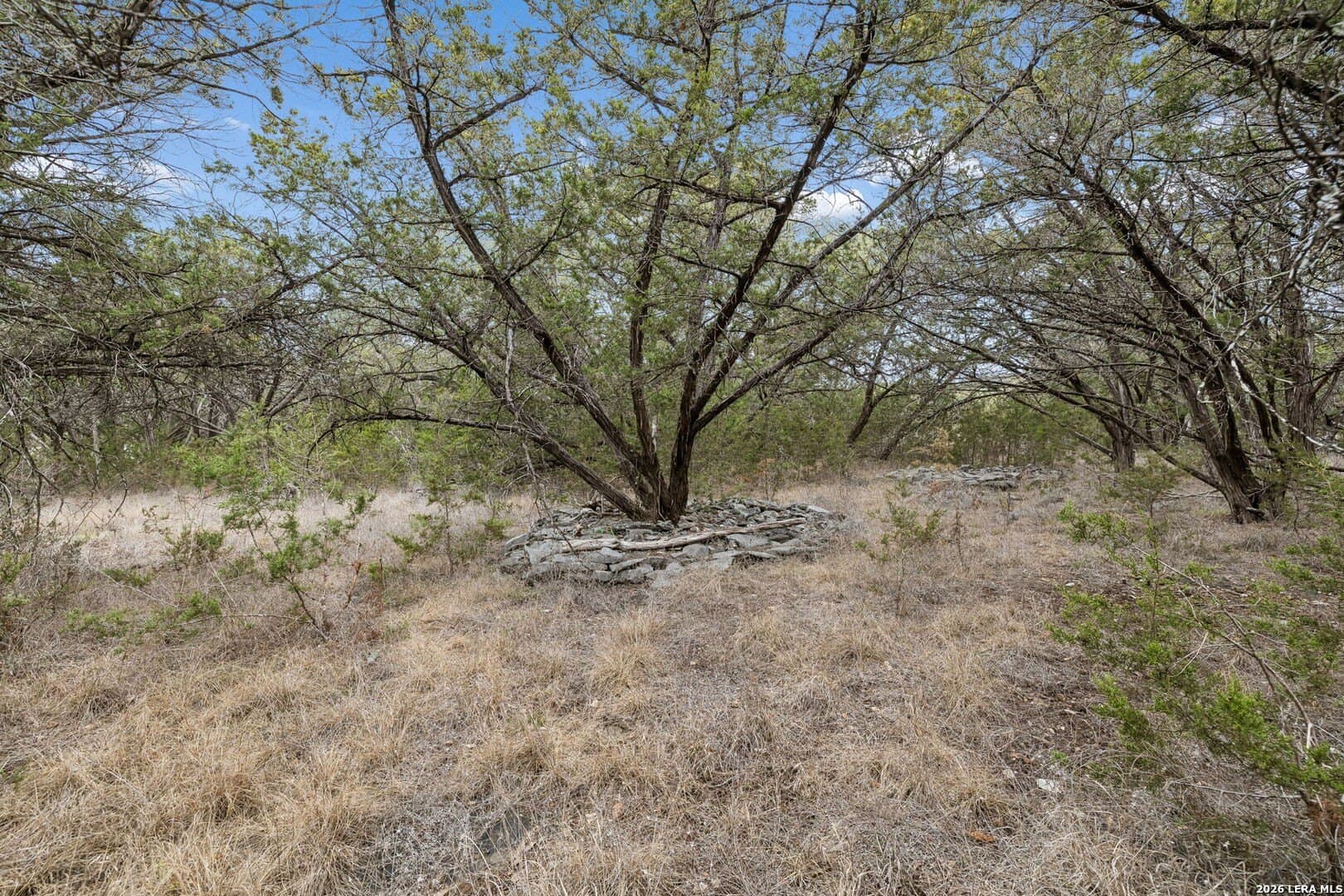 13.07 acres in Comal County - photo 26