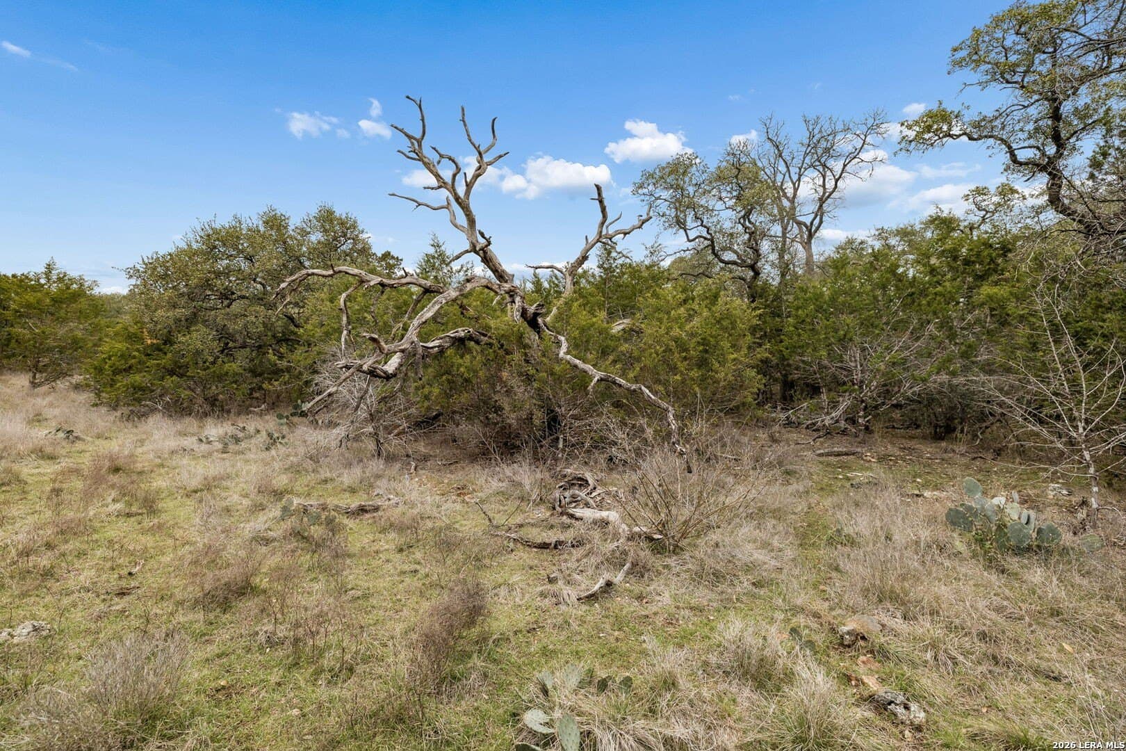 13.07 acres in Comal County - photo 17