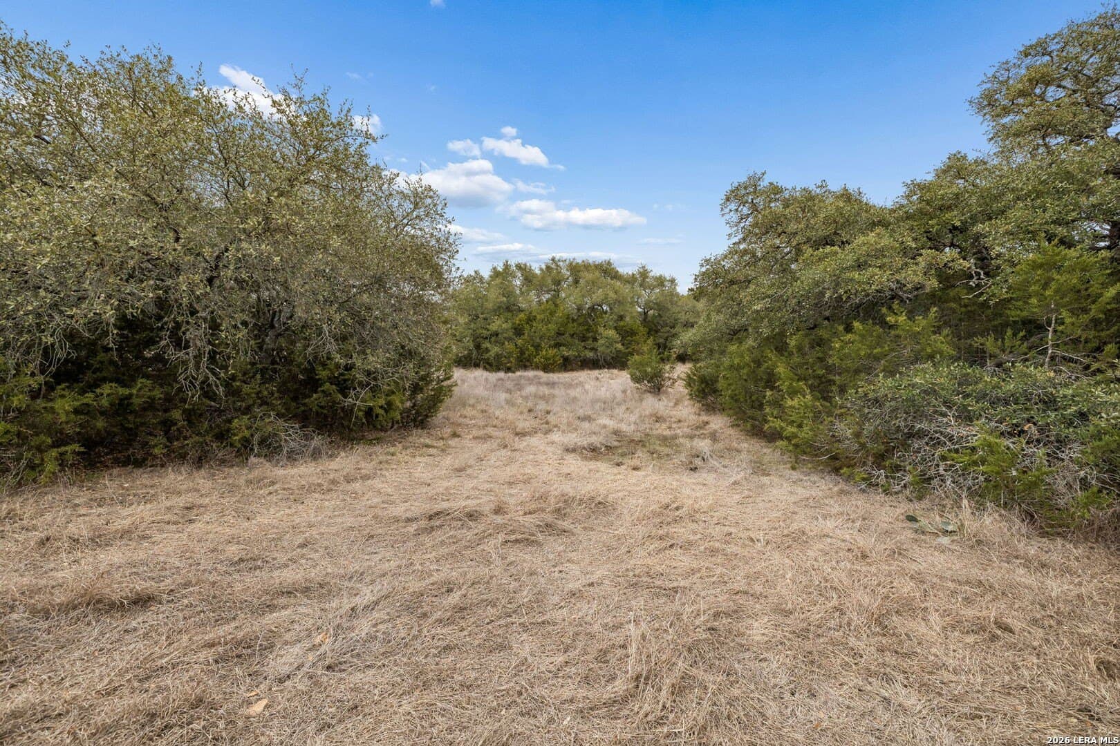 13.07 acres in Comal County - photo 15