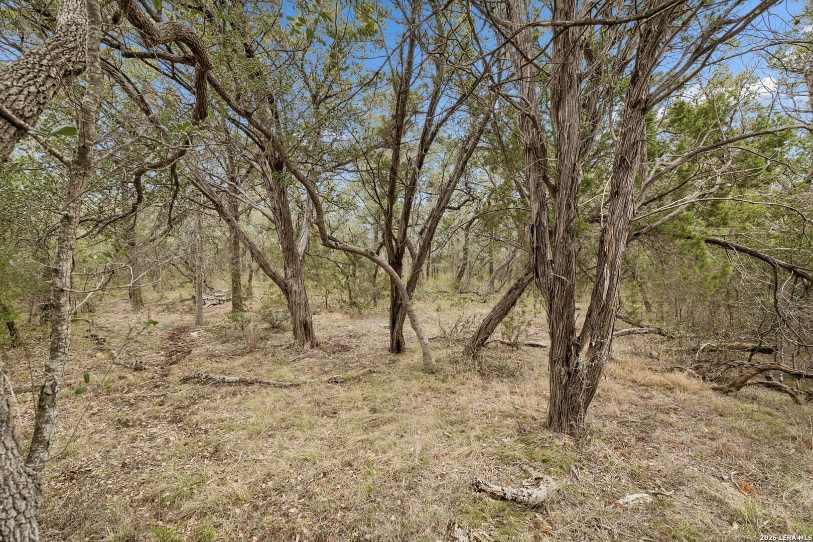 13.07 acres in Comal County - photo 19