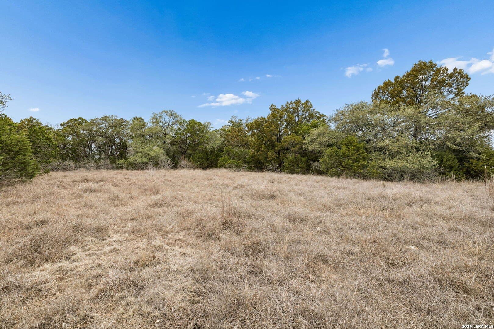 13.07 acres in Comal County - photo 28