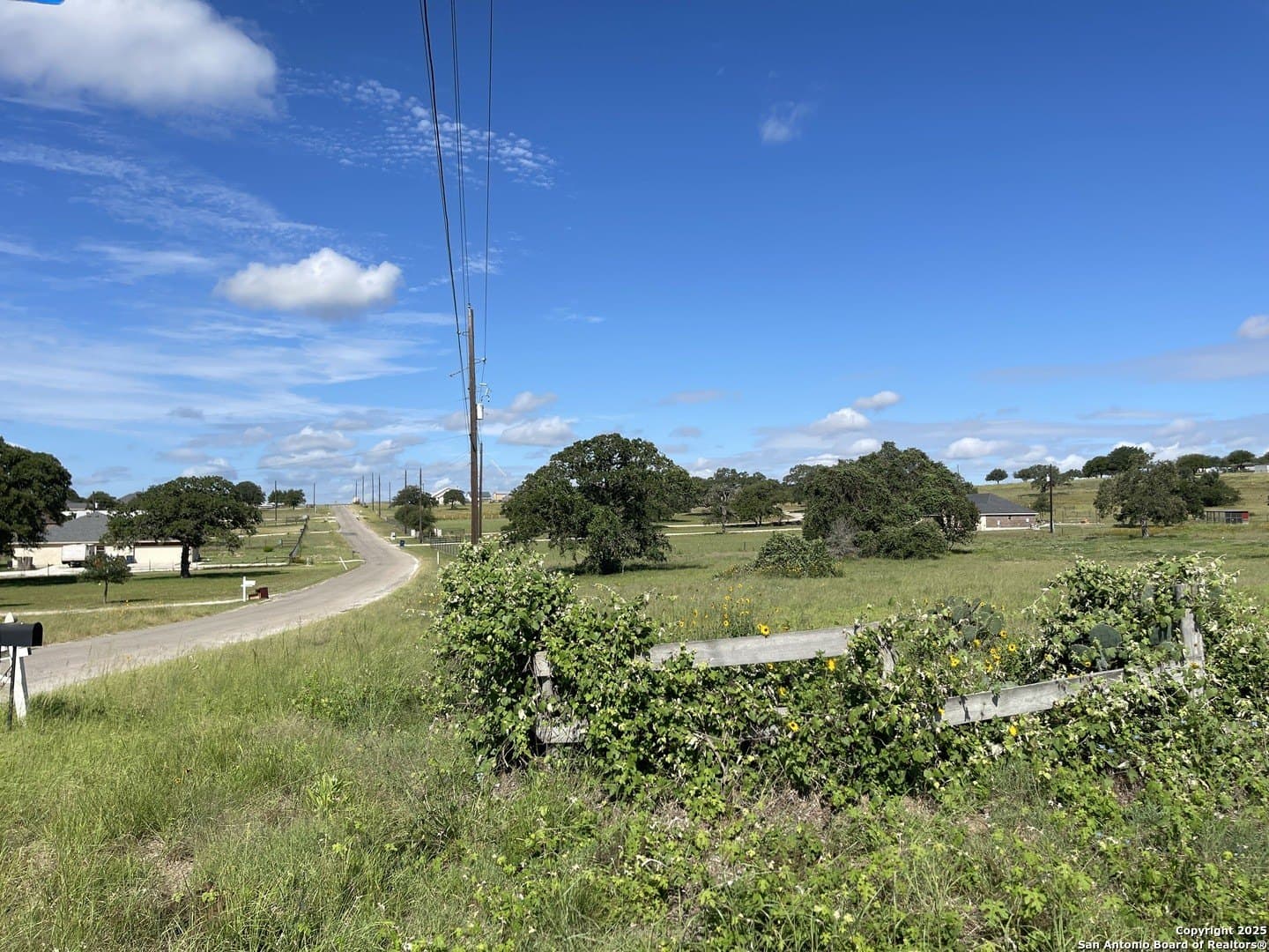 1 acres in Wilson County gallery image 4