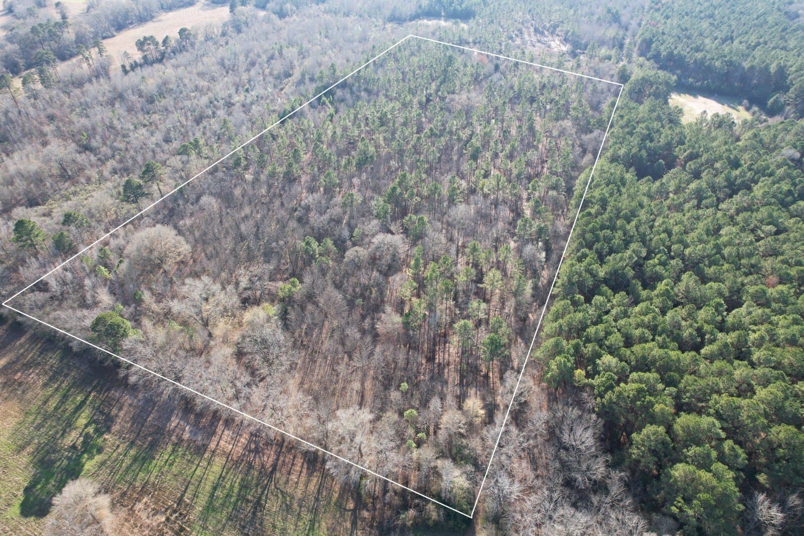 22 acres in Panola County