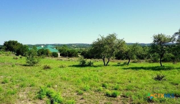 1 acres in Comal County - photo 2